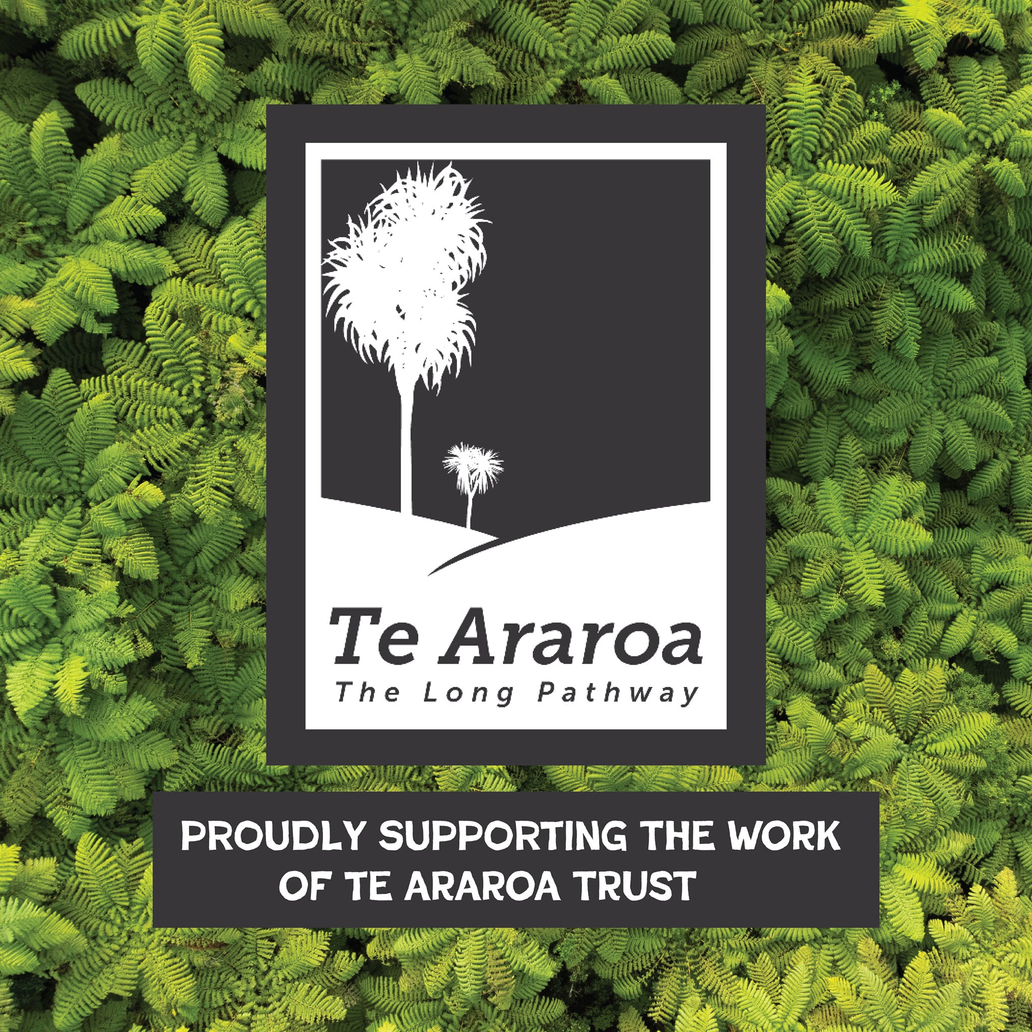 Te Araroa Map Series and Toolkit